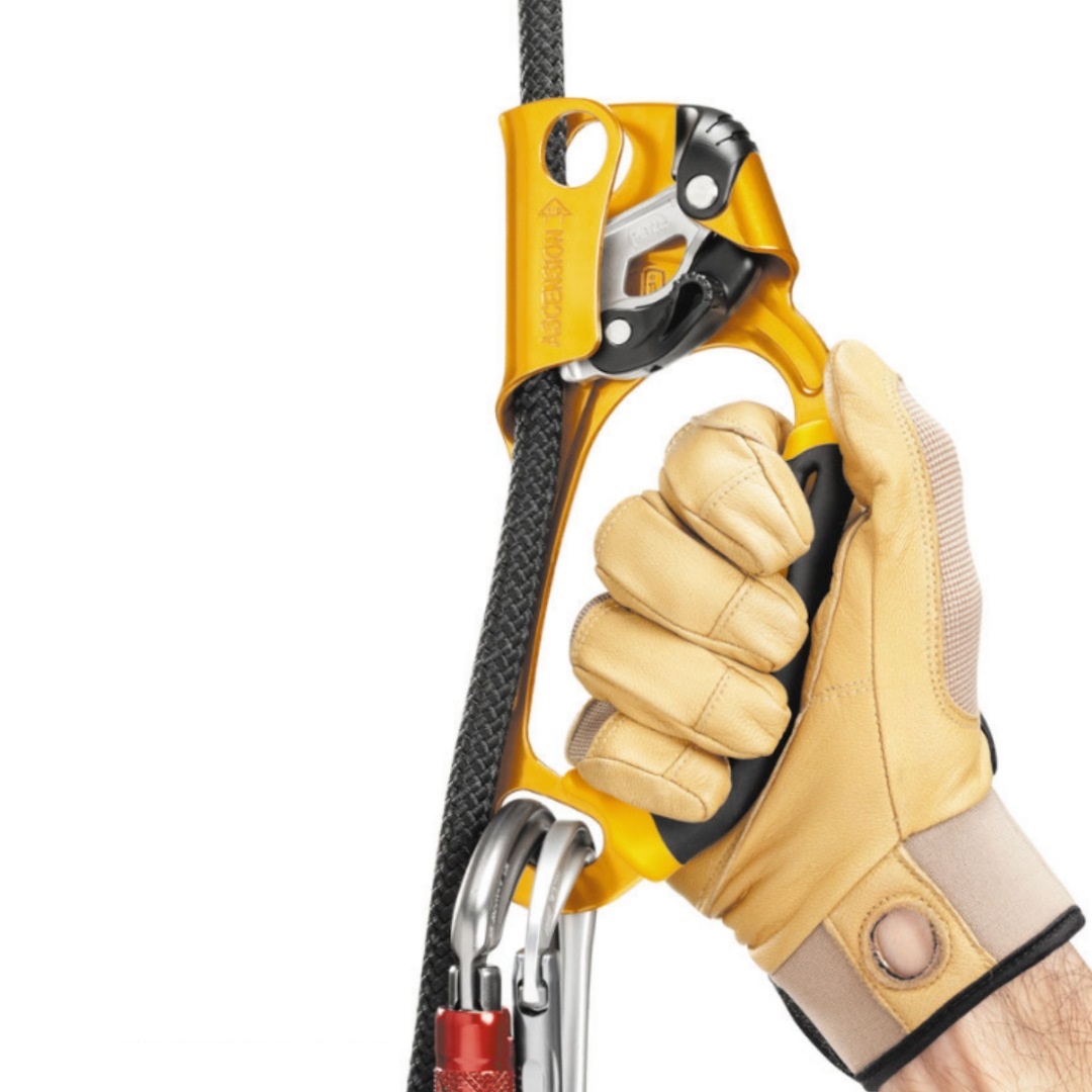 ابزار صعود (یومار) پتزل PETZL مدل اَسنشن ASCENSION - تصویر 3