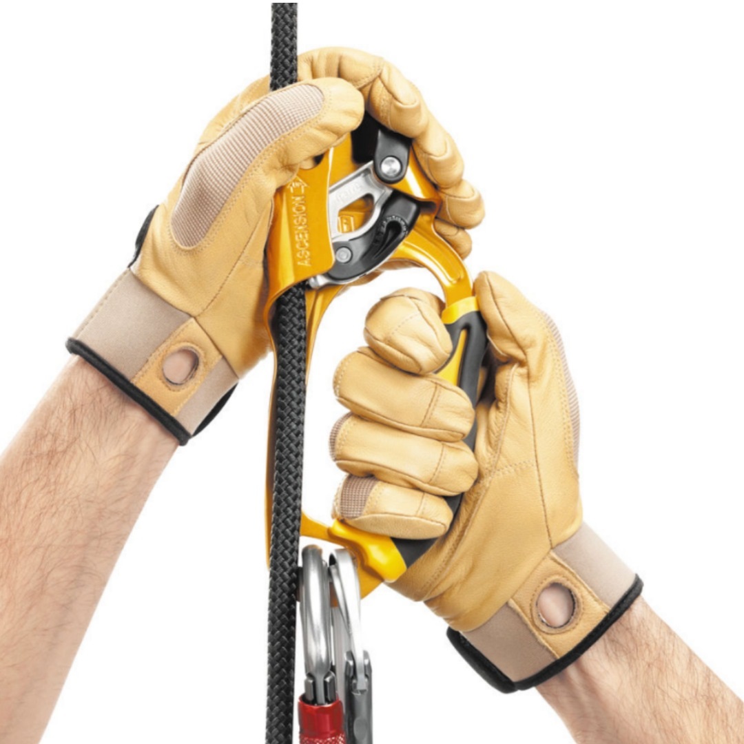 ابزار صعود (یومار) پتزل PETZL مدل اَسنشن ASCENSION - تصویر 4